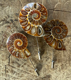 Ammonite Lapel Pin, fossil shell stick pin