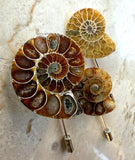 Ammonite Lapel Pin, fossil shell stick pin
