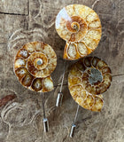 Ammonite Lapel Pin, fossil shell stick pin