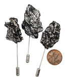 Meteorite Lapel Pin. Campo Del Cielo, Irony Meteorite. Gemstone stick pin