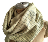 Accountant Scarf. Ledger Paper pashmina by Cyberoptix. Celery green