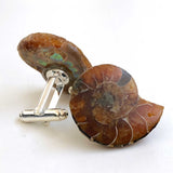 Ammonite Cufflinks, golden ratio men's fossil cufflinks