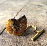 Ammonite Tie Tack, fossil tie pin