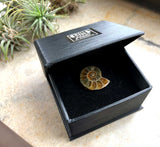 Ammonite Tie Tack, fossil tie pin