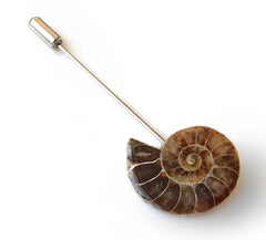 Ammonite Lapel Pin, fossil shell stick pin