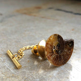 Ammonite Tie Tack, fossil tie pin