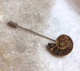 Ammonite Lapel Pin, fossil shell stick pin