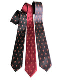 Tiny Human Hearts Necktie, Anatomical Heart Tie