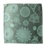 Diatom Pocket Square, Diatoms Botanical Print Hanky