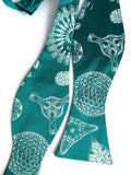 Diatoms bow tie. Mint on teal green.