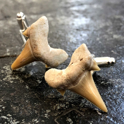 Shark Tooth Cufflinks, men's fossil cufflinks