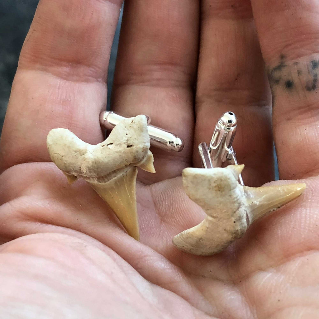 Shark cufflinks best sale