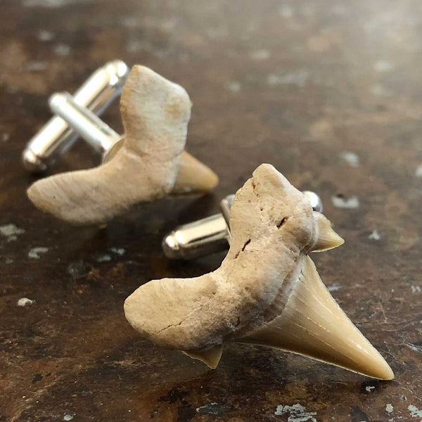 Shark Tooth Cufflinks, men's fossil cufflinks