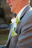 Cottage Lace Print wedding pocket square. Clover green on apple.