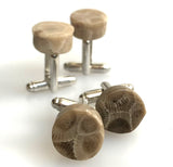 Petoskey Stone Cufflinks, fossil coral cufflinks