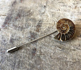 Ammonite Lapel Pin, fossil shell stick pin