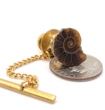 Ammonite Tie Tack, fossil tie pin